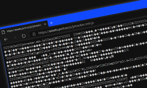 4.600 Web Sitesinde Kullanıcıların Ödeme Bilgileri ve Şifreleri Çalındı